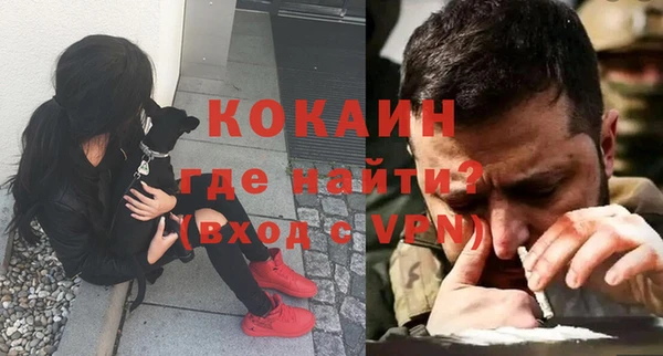 винт Алзамай