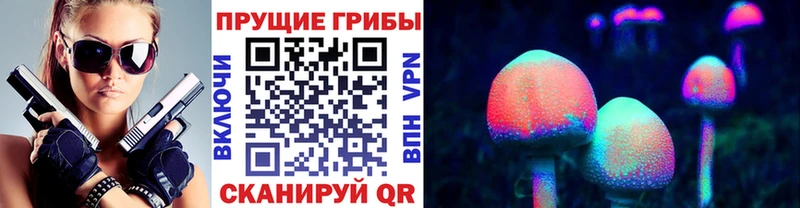 Галлюциногенные грибы Psilocybe где купить наркоту mega как войти Ревда